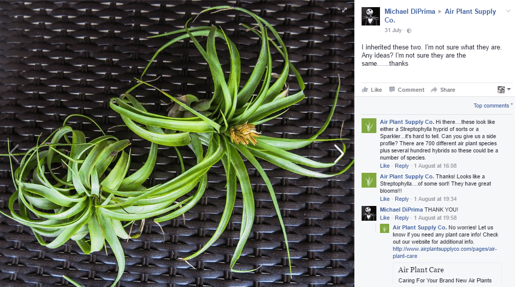Air Plant Supply Co Customer Service