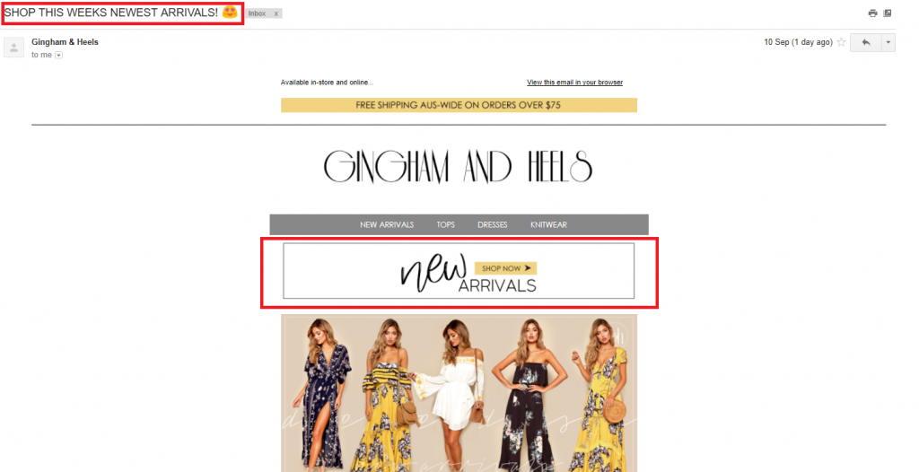 example of ecommerce email campaign