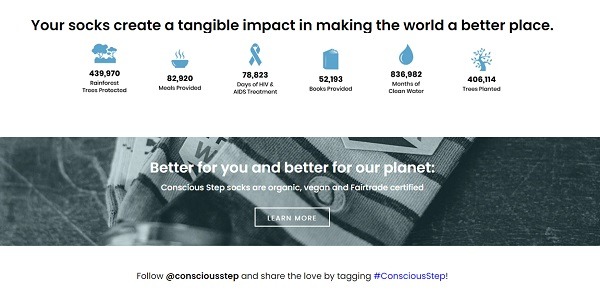 conscious step home page examples