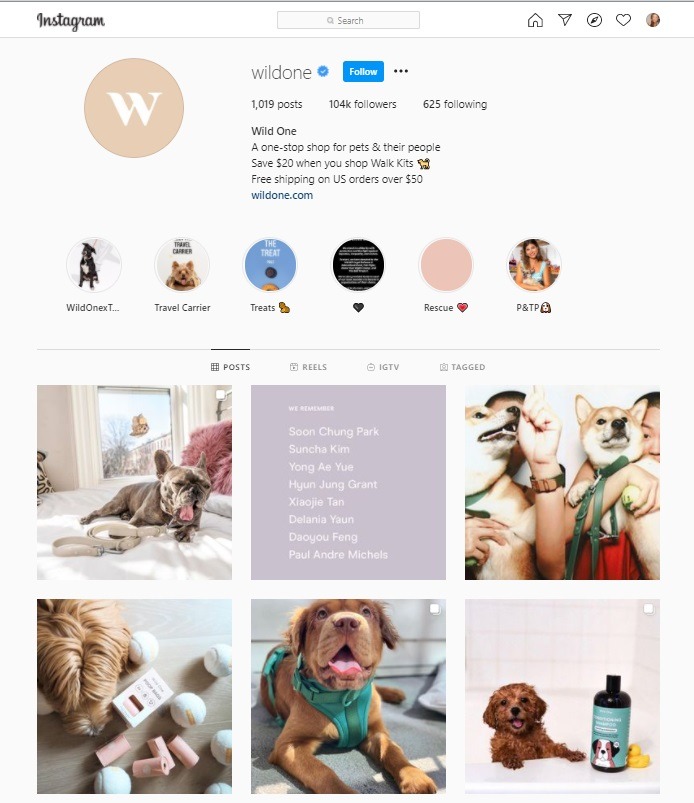 wild one pet store Instagram account