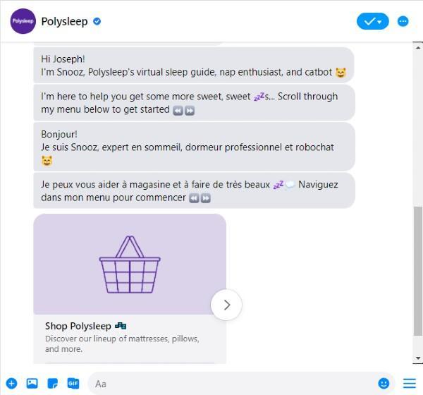 ecommerce chatbot example