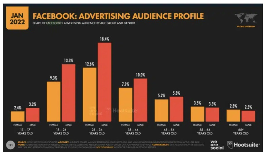 Facebook advertising audience overview 2